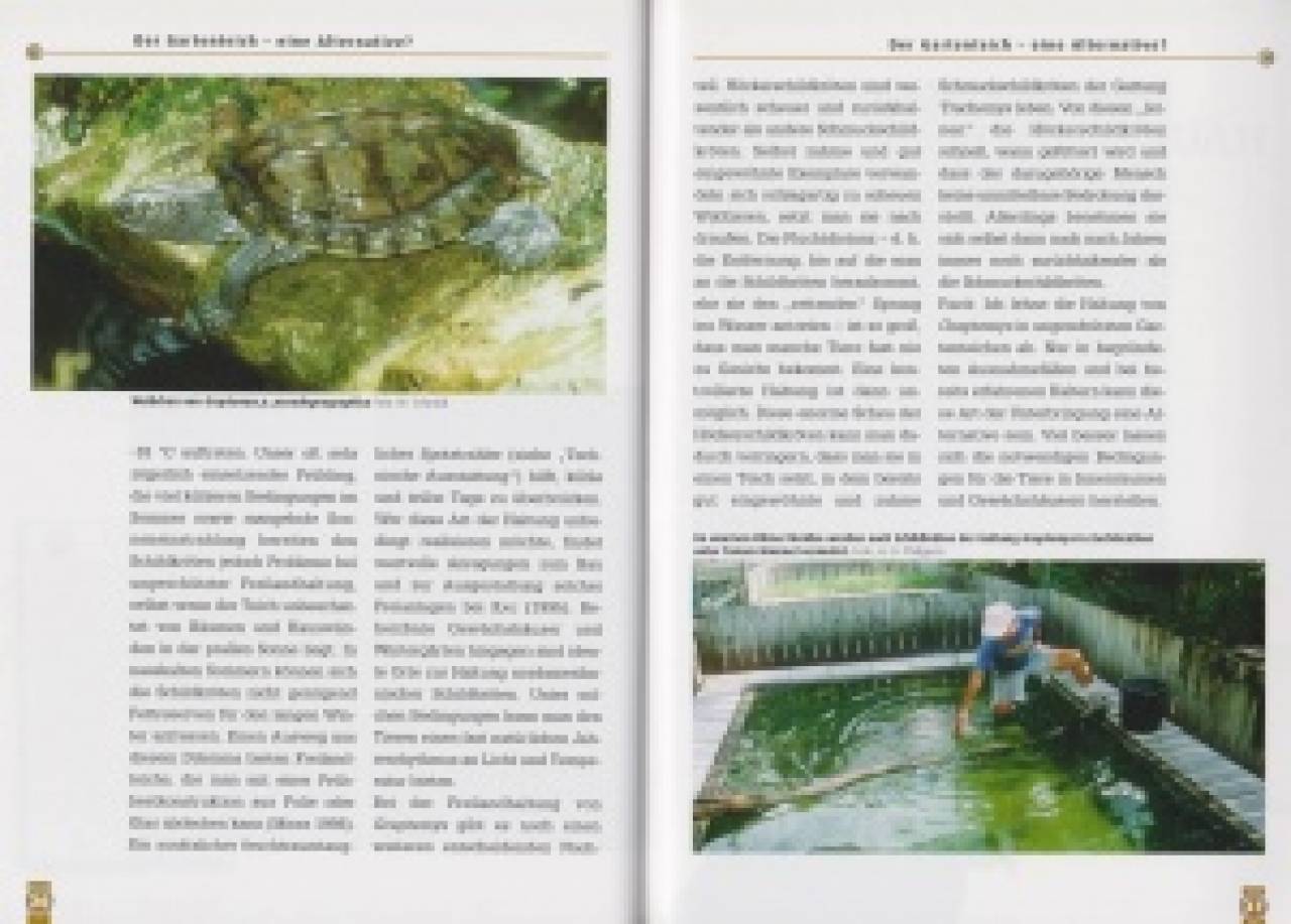 Falsche Landkarten-Höckerschildkröten und Mississippi-Höckerschildkröten